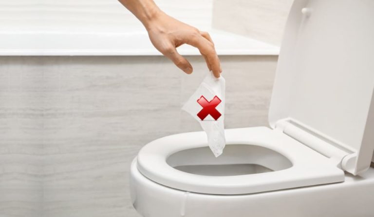 Can You Flush Paper Towels? Plumber Explain